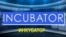 «Газетная лексика» – Incubator – Инкубатор