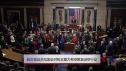 民主党议员批国会对枪支暴力有空默哀没空行动