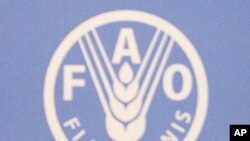联合国粮农组织