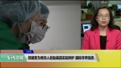 VOA连线(莫雨)：贺建奎为修改人胚胎基因实验辩护，国际学界指责