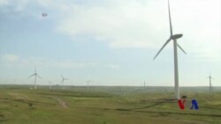 业内人士：美国若退出气候行动 中国会得利