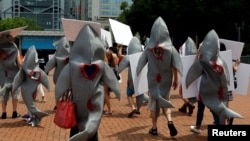 環保活動人士2017年6月10日在香港一家提供魚翅湯的餐館外抗議。（路透社）