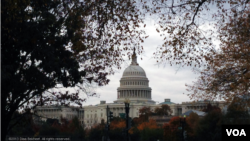 FILE - Capitol Hill in Washington, DC. (Diaa Bekheet/VOA).