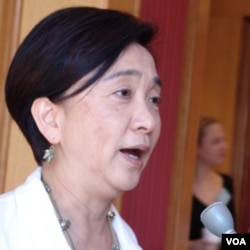 香港议员、民主党人刘慧卿（Emily Lau）（2009年9月10日，美国之音木风拍摄）