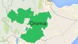 Dhalattoonni Oromoo Naannoo Somaalee Keessaa Buqqa’anii Mooraa Hammarreessaa Keessa Qubsiifaman Maal Jedhu?