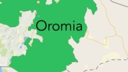 Uggurri Geejjibaa Oromiyaa Keessaa Danqaa Nutti Uume, Jedhu Daldaltoonnii fi Shofeeronni