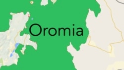 Sochiin Geejjibaa Waan Uggurameef Qaala’insa Jireenyaaf Saaxilamne, Jedhu JIraattoni Hagi Tokko