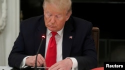 時任美國總統的特朗普在白宮點擊手機。(2020年6月18日)