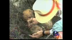 危地马拉独裁者被判犯种族灭绝罪