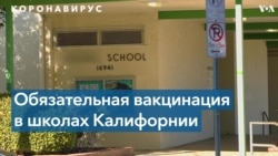 Нет прививки – нет работы: увольнения противников вакцинации