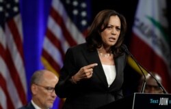 Democratic presidential candidate Sen. Kamala Harris, D-Calif., gestures while speaking at the Democratic National Committee's summer meeting Friday, Aug. 23, 2019, in San Francisco. More than a dozen Democratic presidential hopefuls are making…