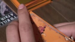 Настольные игры помогают общению