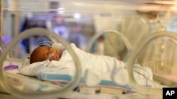 FILE - Melinda Star Guido lies in an incubator at the Los Angeles County-USC Medical Center in Los Angeles, Dec. 14, 2011. At birth, Melinda Star Guido tipped the scales at 9 1/2 ounces. Most babies her size don’t survive, but doctors are preparing to send her home.