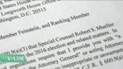 VOA连线(黄耀毅)：特朗普认为穆勒检察官的报告为他洗刷了嫌疑