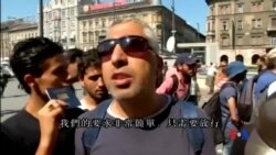 2015-09-02 美國之音視頻新聞:今年逃至歐洲難民逾35萬