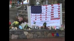 奥巴马呼吁采取行动制止枪械暴力