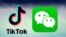 中国语音社媒软件TikTok和微信的标识