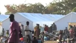 三名維和軍人在南蘇丹被打死