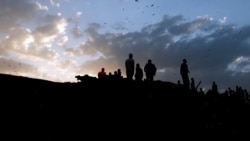 Kosii Finfinnee Sandaafaatti Geessanii Gatuuf Karoorfamuun Nu Yaaddeessa: Jiraattota