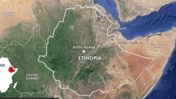 “Oromoo Taanee Bulchiinsa Naannoo Somaaleetti Deebi’uun Lubbuu Keenyaaf Sodaachisa.”Hojjattoota Waajiiraaalee Federaalaa