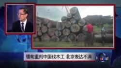 媒体观察：缅甸重判中国伐木工 北京表达不满