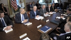 拜登副总统(中)和司法部长霍尔德在会见受害者以及枪支安全团体时发表讲话