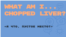 What Am I... Chopped Liver?