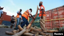 肯尼亞官員在蒙巴薩港拿獲三噸象牙.