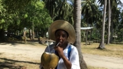 Ma'aikaciyar Muryar Amurka Binta S. Yero ta na shan ruwan kwakwa a gonar