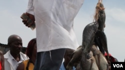 水产拍卖市场的渔民说，由于鱼类资源的消耗，在维多利亚湖打渔为生越来越困难了。