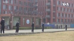 拜登總統就調查新冠病的起源發表聲明