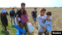 在塞爾維亞與克羅地亞邊境地區附近的難民