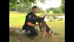 警官警犬好搭档(一) 马歇尔-Boomer在训练场上