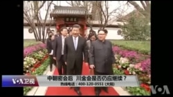 时事大家谈：中朝密会后，川金会是否仍应继续？
