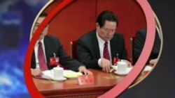 VOA卫视(2014年7月31日 第一小时节目)