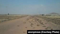 Faayilii - Oromiyaa keessaati karaa mormitootan cufame, Guraandhala, 2016