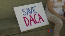 2017-09-05 美國之音視頻新聞: 川普據信將宣佈終止延緩遣返夢想者 有人擬抗議 (粵語)