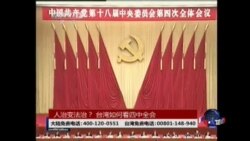 海峡论谈：人治变法治？ 台湾如何看四中全会