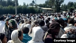 Sirna awwaalchaa namoota Cinaa keessatti ajjeefamanii