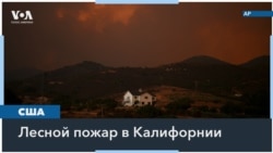 В Калифорнии полыхают лесные пожары. Потушить их на фоне аномальной жары не удается