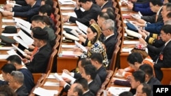 人大代表在北京出席中國第十四屆全國人民代表大會三次會議第二次全體會議。(2025年3月8日)