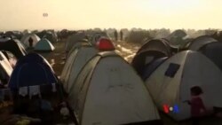 2016-03-01 美國之音視頻新聞: 歐盟試圖解決難民危機