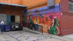 美國專訊 785 （2019年5月19日）