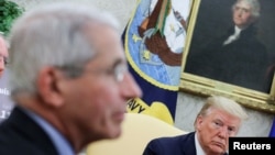 资料照片:美国首席传染病专家安东尼·弗契医生在白宫与特朗普总统等人讨论疫情。(2020年4月29日)