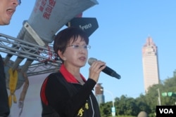 台湾中国国民党主席洪秀柱在抗议集会上演讲