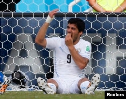 乌拉圭球员苏亚雷斯