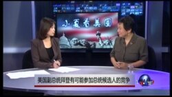 小夏看美国：美国副总统拜登有可能参加总统候选人的竞争