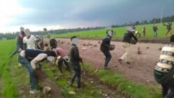 Oromiyaa Keessatti Hiriirri Mormii Gaggeefame Jedhu Jiraatonni