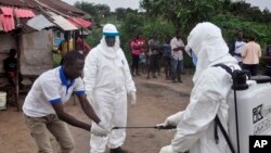 Kuusaa suuralee- Hojjatoota Fayyaatti nama Eboolaa irratti arganiin wallaanee akkana ufi qulqulleessa.
Monorooviyaa Laayberiyaa.