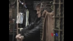 看天下: 蜗居的香港人